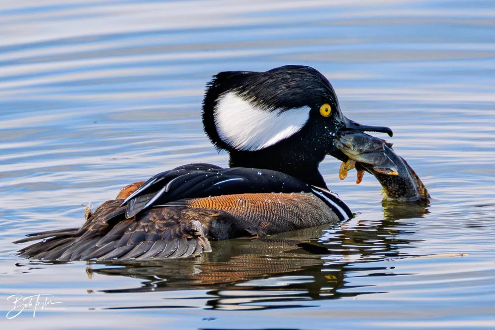 20251118-SASP Final -50.jpg