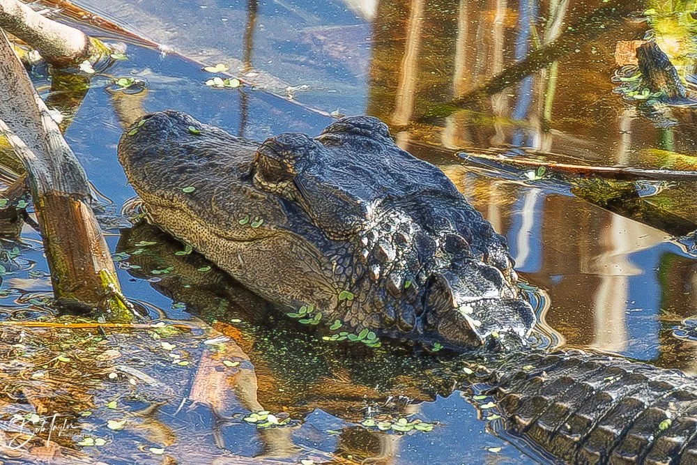 20251116-SASP One Day -41.jpg