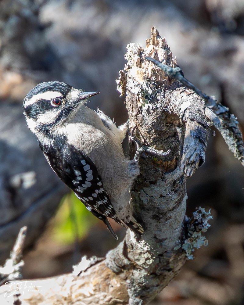 20251116-SASP One Day -54.jpg