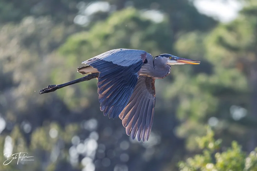 20251115-SASP Final -24.jpg