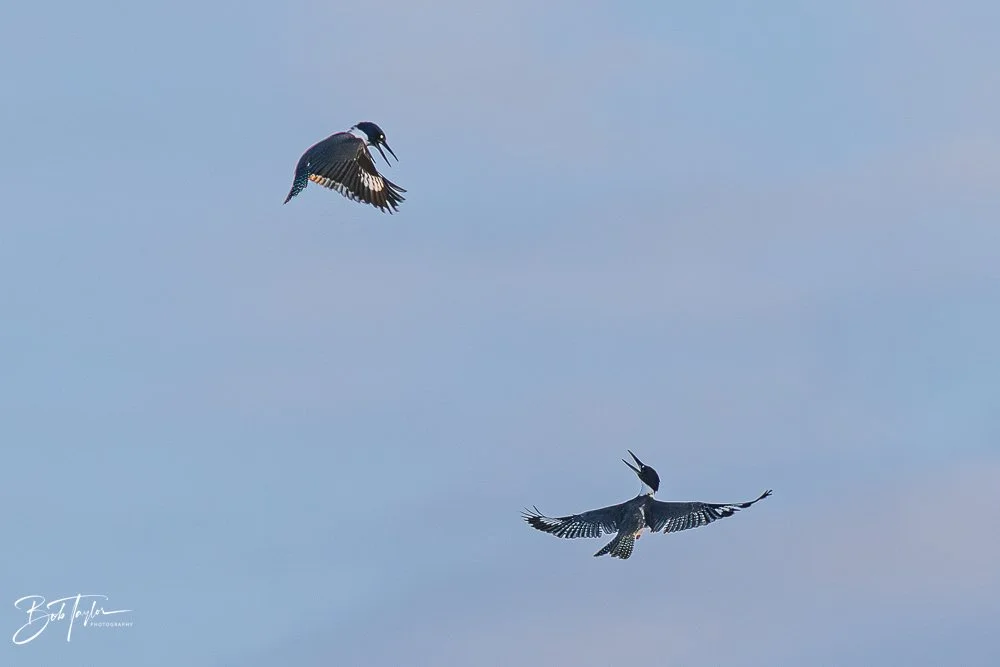 20251117-SASP Final -40.jpg