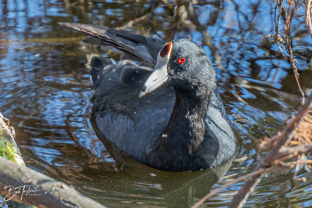 20251116-SASP One Day -42.jpg