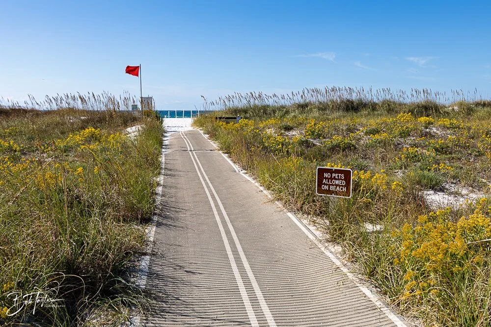 20251116-SASP One Day -37.jpg