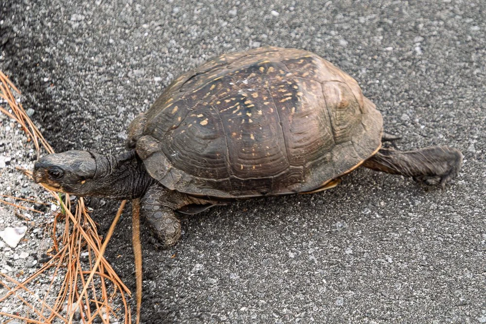 20251120-SASP Final -92.jpg