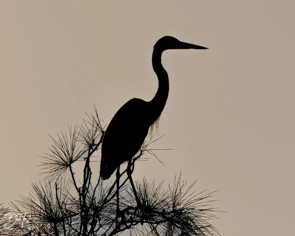 20251115-SASP Final -19.jpg