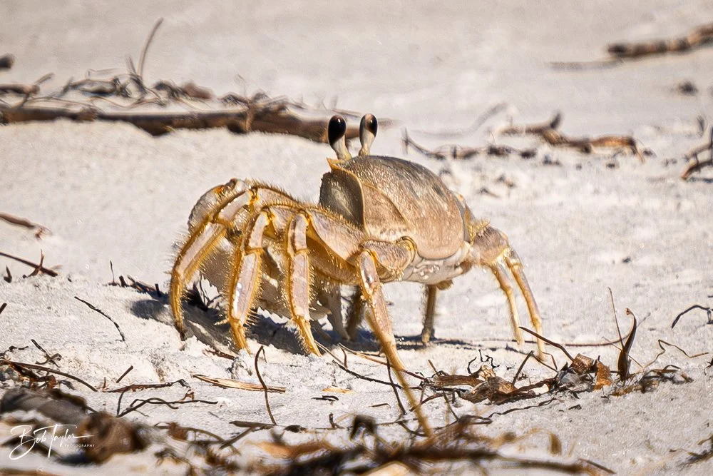 20251119-SASP Final -74.jpg