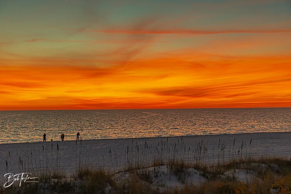 20251119-SASP Sunset -33.jpg