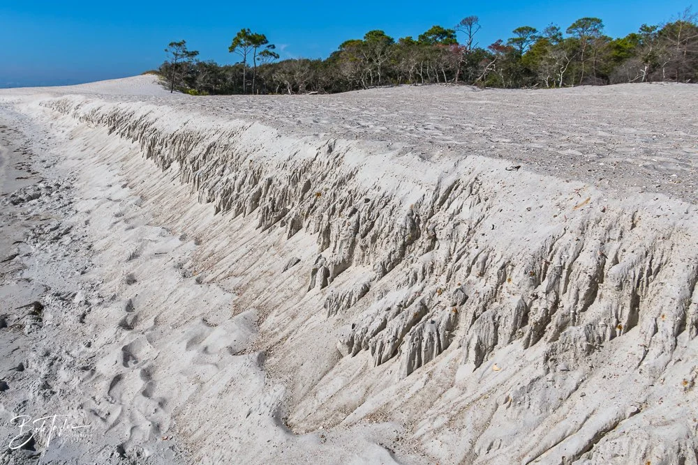 20251116-SASP One Day -15.jpg