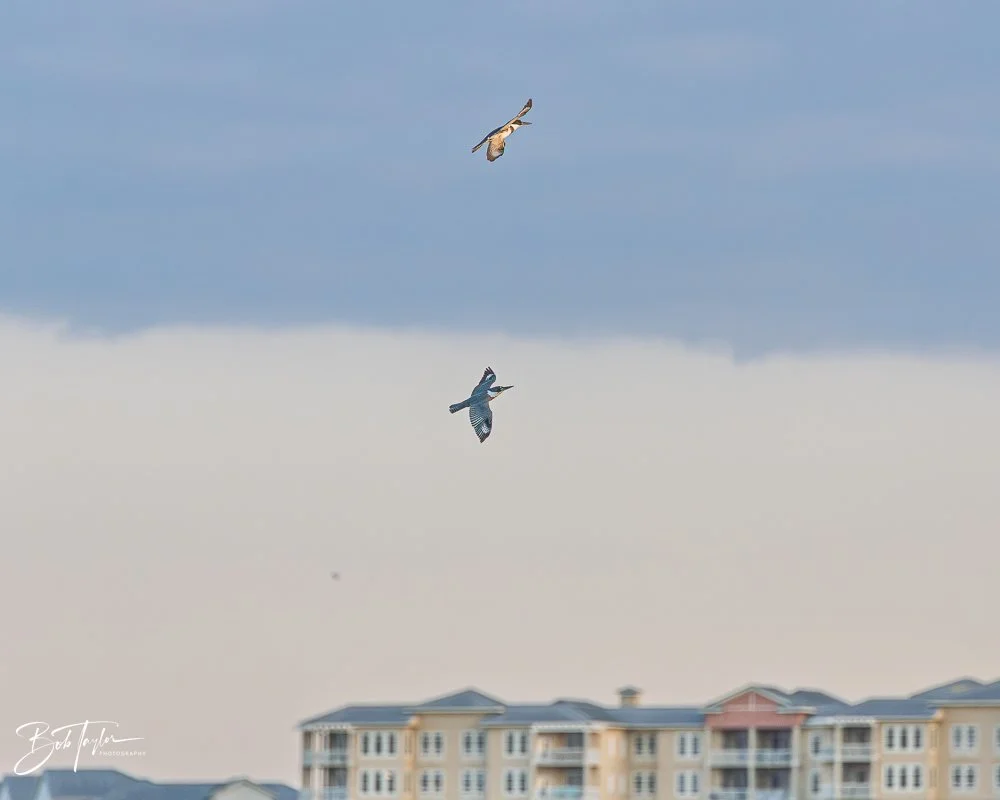 20251117-SASP Final -37.jpg