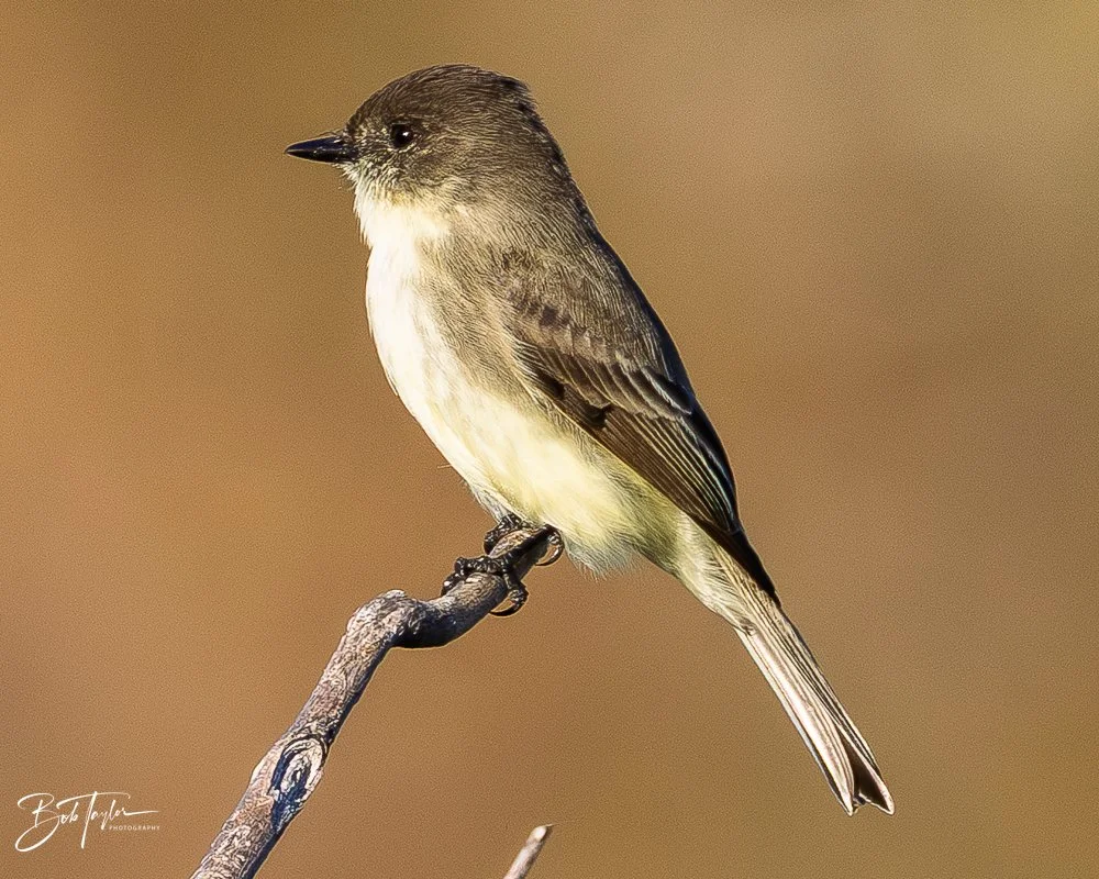 20251115-SASP Final -14.jpg