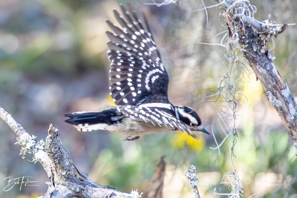 20251116-SASP One Day -53.jpg