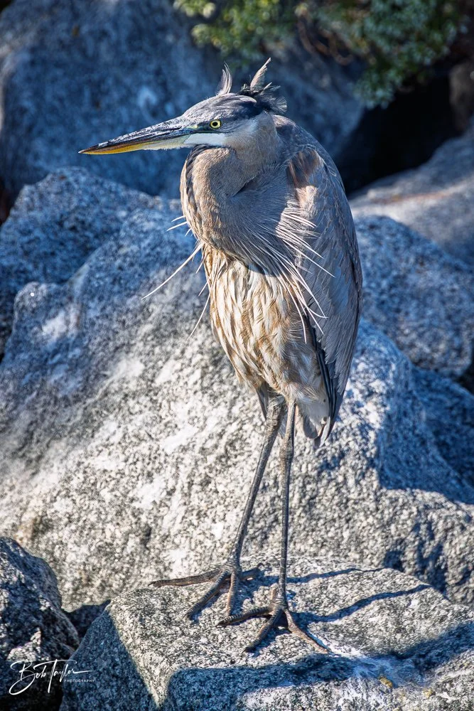 20251116-SASP One Day -4.jpg