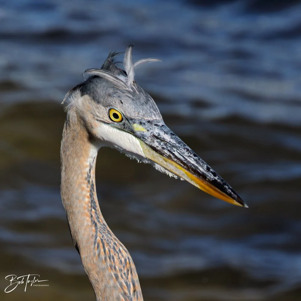 20251116-SASP One Day -1.jpg