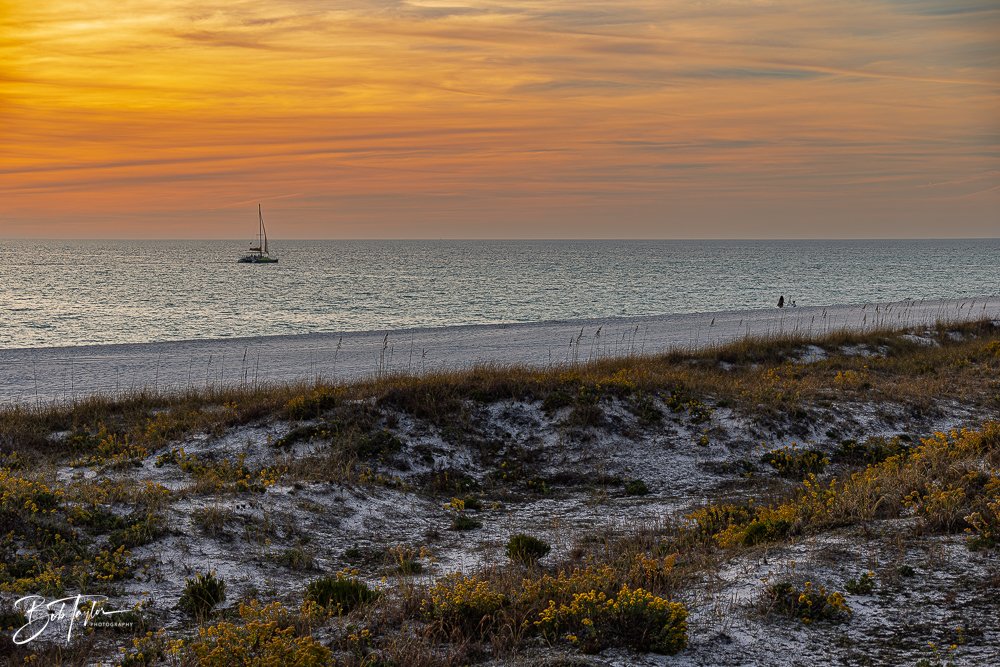 20251119-SASP Sunset -1.jpg