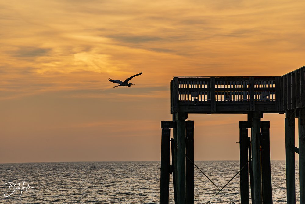 20251119-SASP Sunset -2.jpg