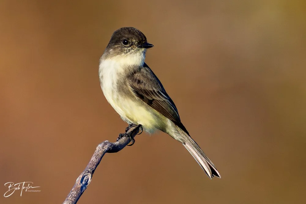 20251115-SASP Final -13.jpg