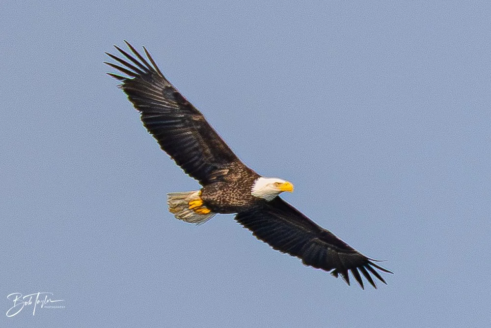 20251118-SASP Final -48.jpg