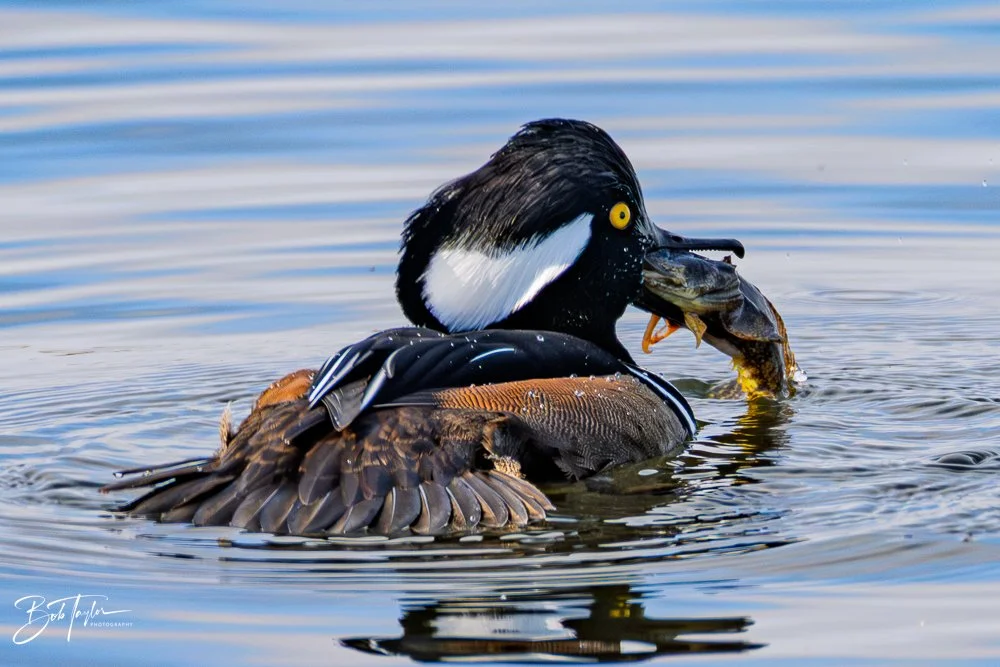 20251118-SASP Final -51.jpg