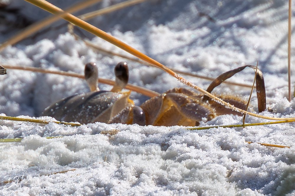 20251116-SASP One Day -11.jpg