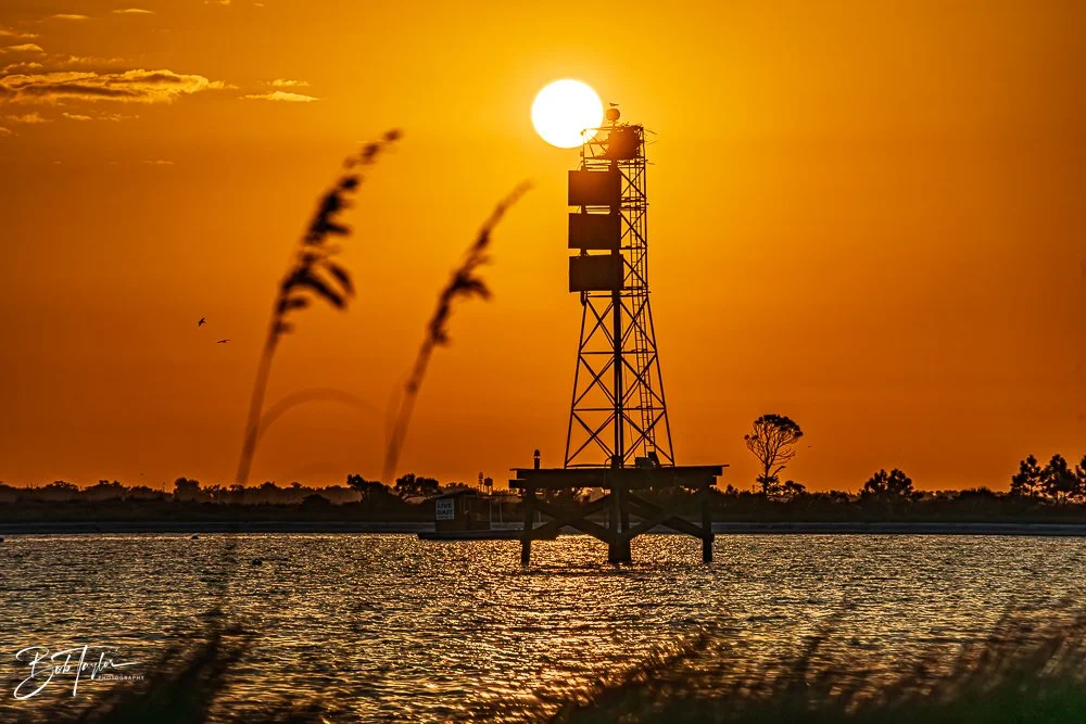 20251117-SASP Sunrise -15.jpg