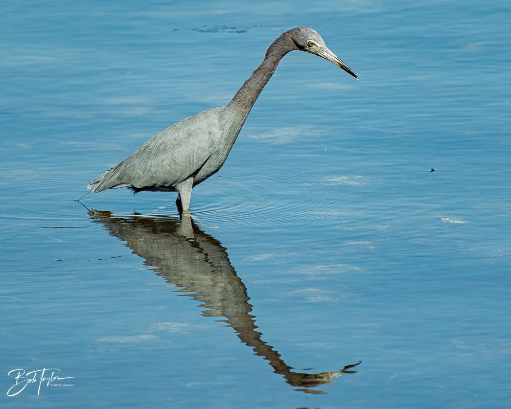 20251119-SASP Final -81.jpg