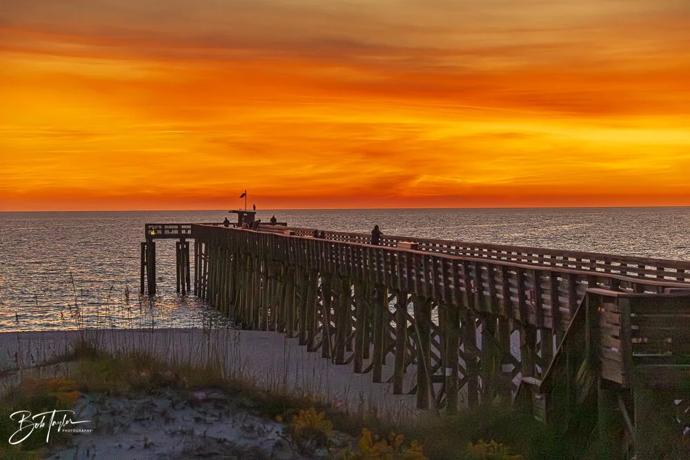 20251119-SASP Sunset -35.jpg