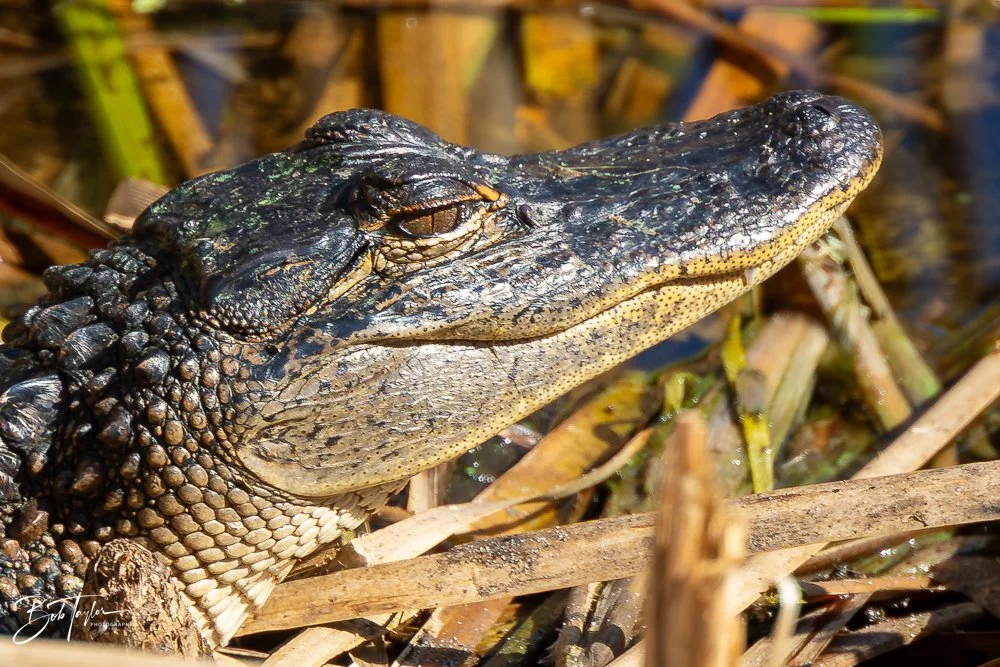 20251116-SASP One Day -45.jpg