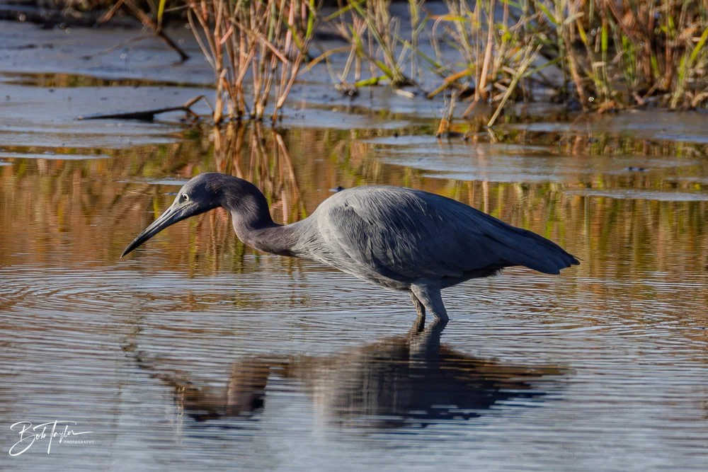 20251115-SASP Final -16.jpg