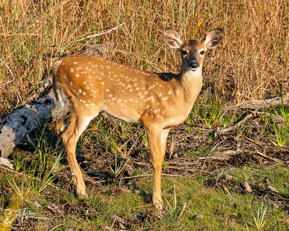 20251118-SASP Final -59.jpg