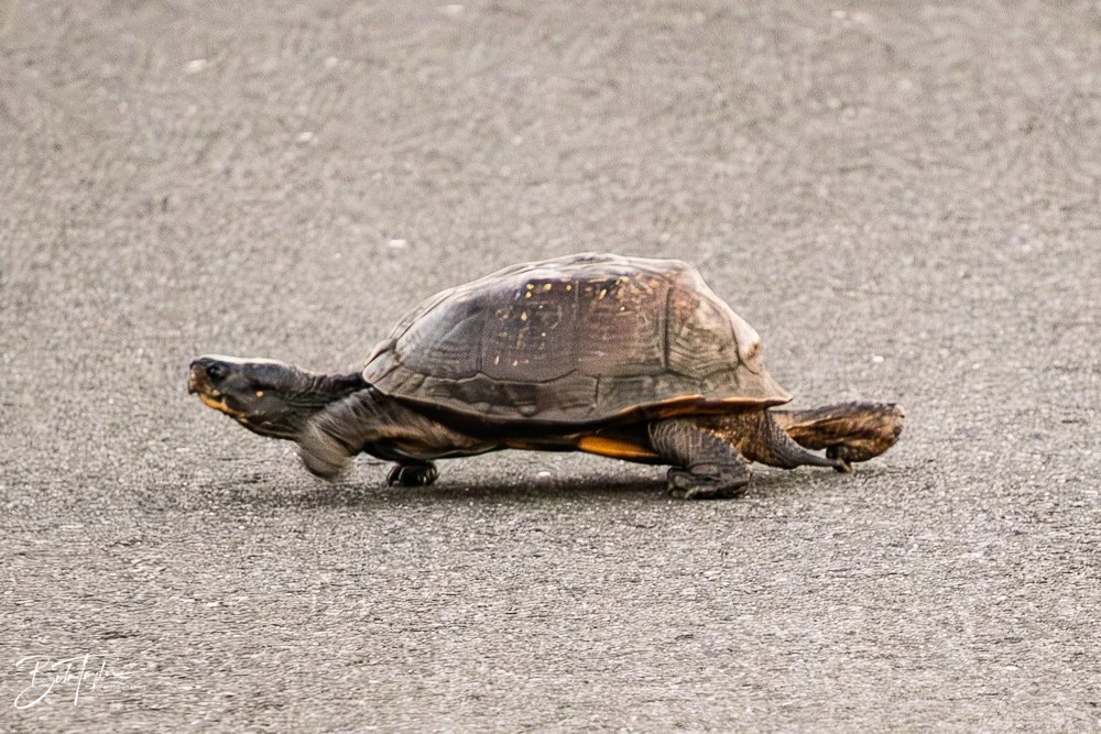 20251120-SASP Final -91.jpg