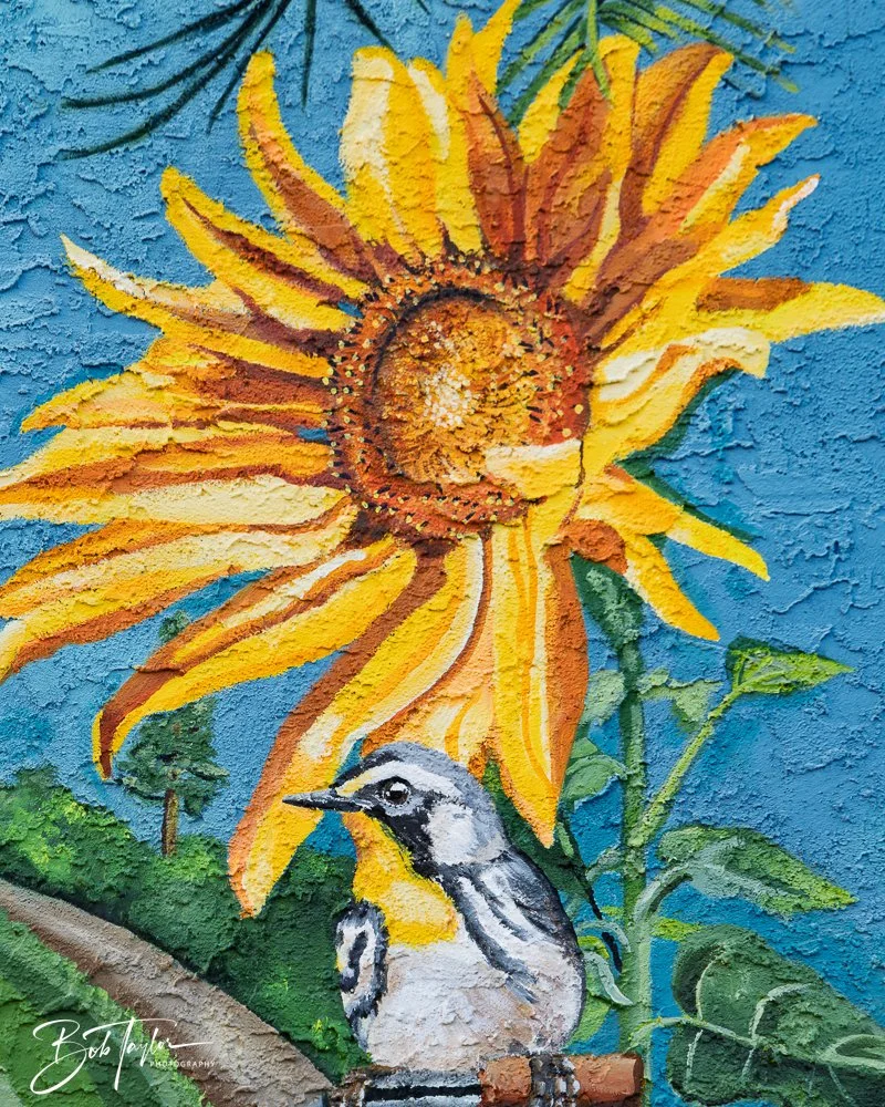 20250424-Historic St Andrews -69.jpg