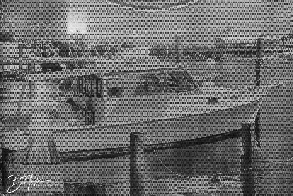 20250414-Historic St Andrews -9.jpg