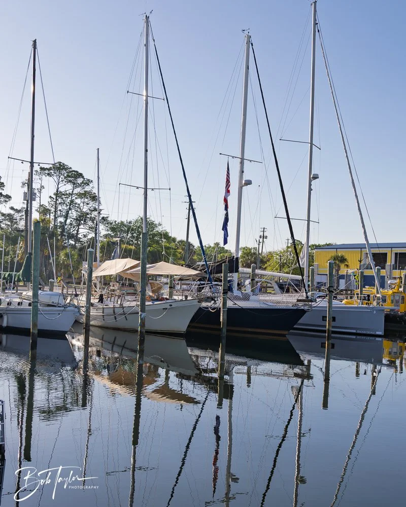 20250414-Historic St Andrews -49.jpg