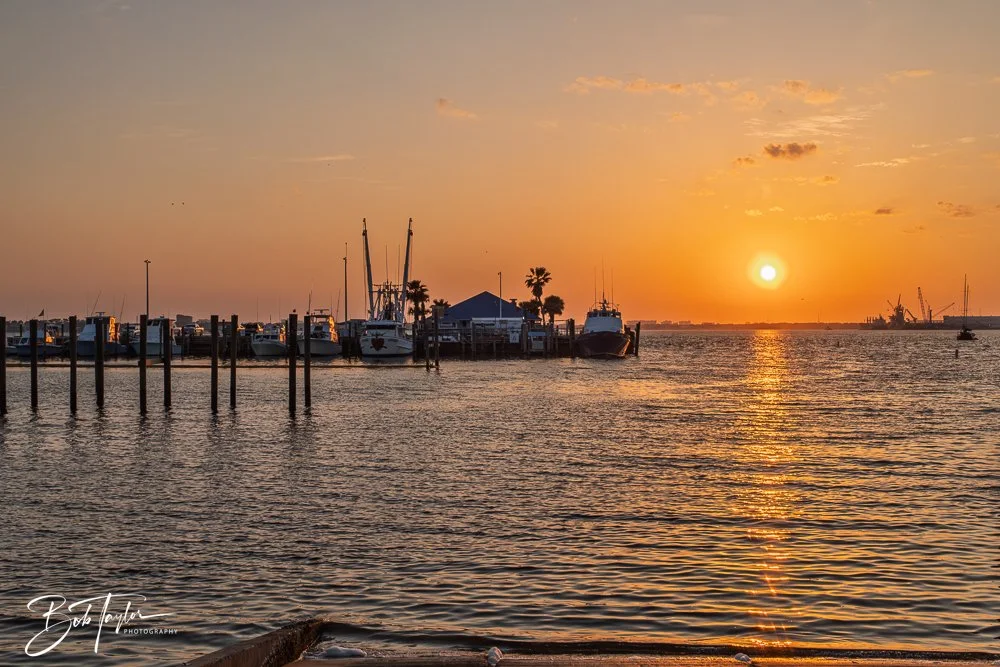 20250415-Historic St Andrews -63.jpg