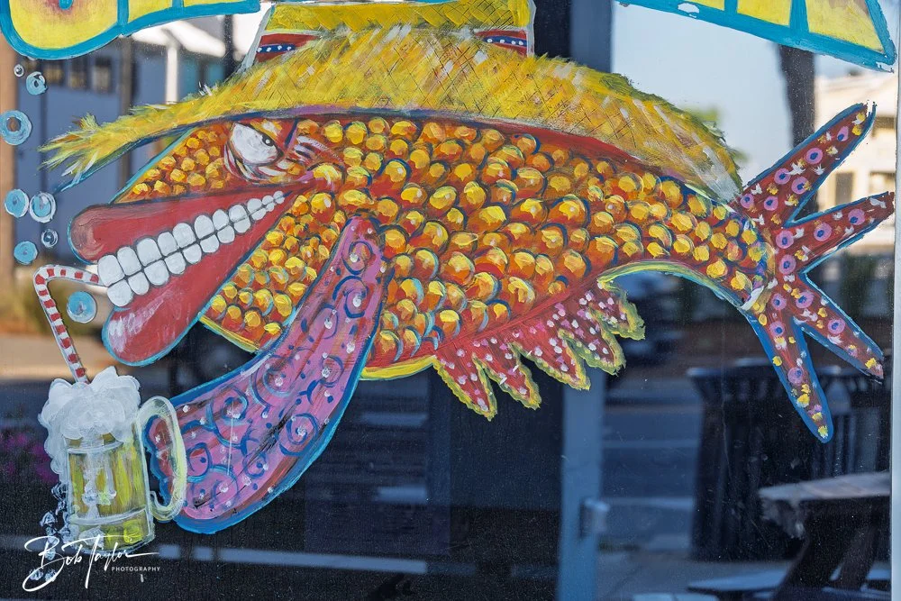 20250414-Historic St Andrews -39.jpg