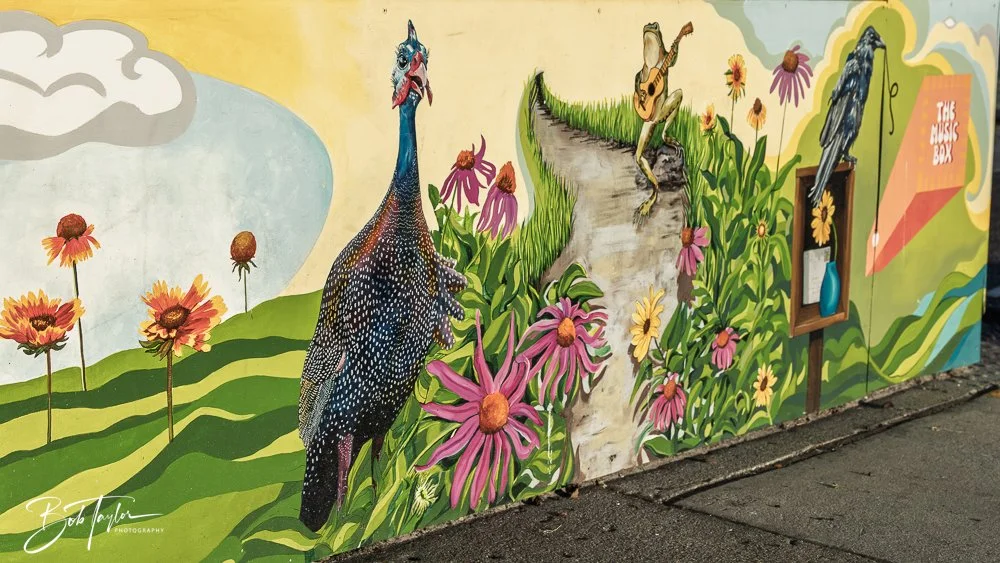 20250414-Historic St Andrews -14.jpg