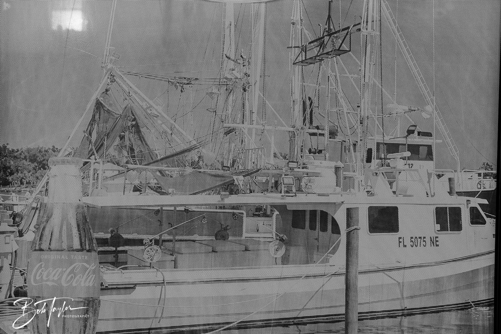 20250414-Historic St Andrews -7.jpg