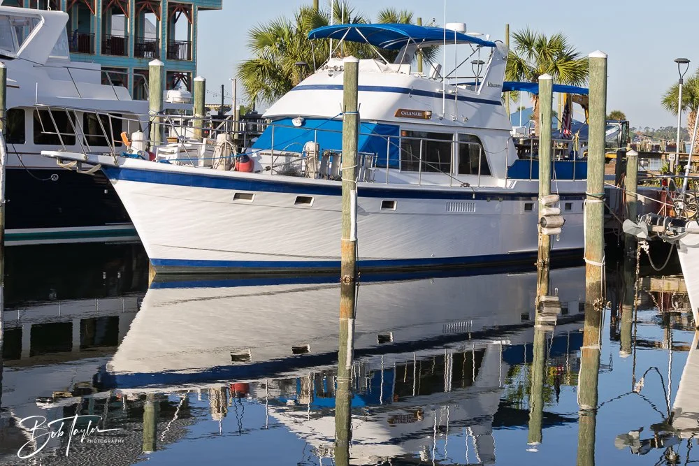 20250414-Historic St Andrews -47.jpg