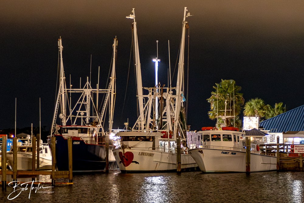 20251028-Night Scenes -1.jpg