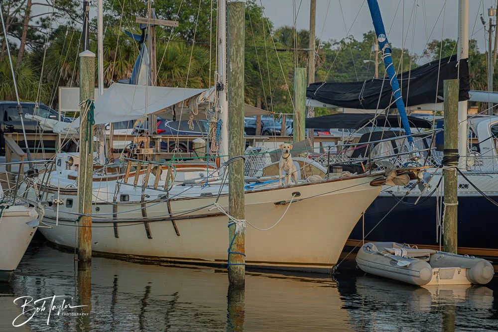 20250424-Historic St Andrews -77.jpg