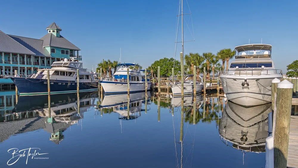 20250414-Historic St Andrews -46.jpg