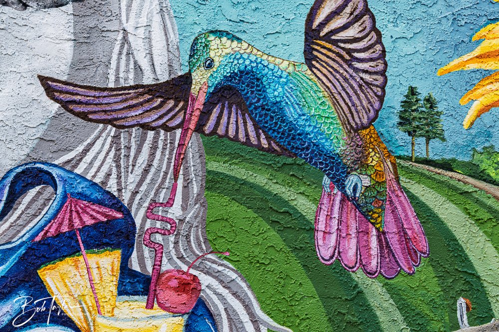 20250424-Historic St Andrews -67.jpg