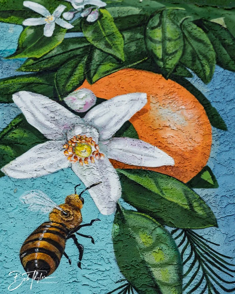 20250424-Historic St Andrews -71.jpg