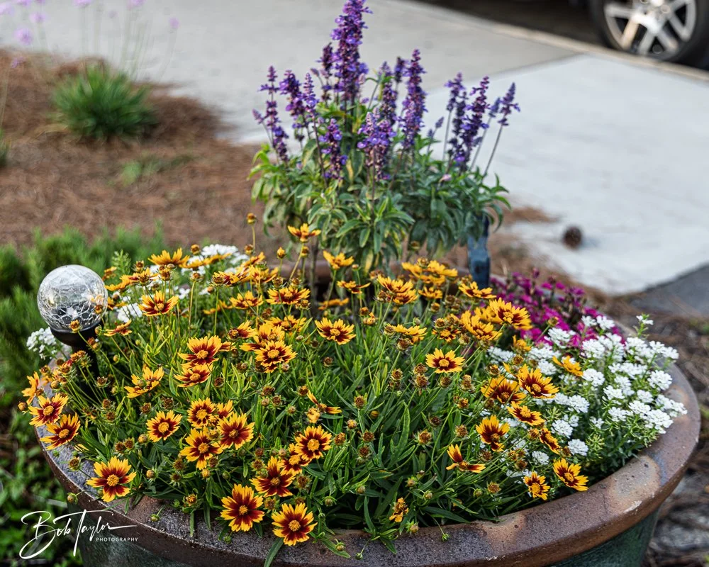 20250424-Historic St Andrews -74.jpg