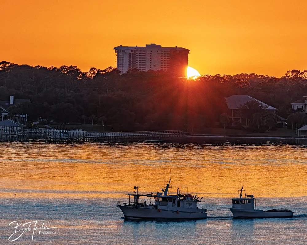 20251104-Night Scenes -4.jpg