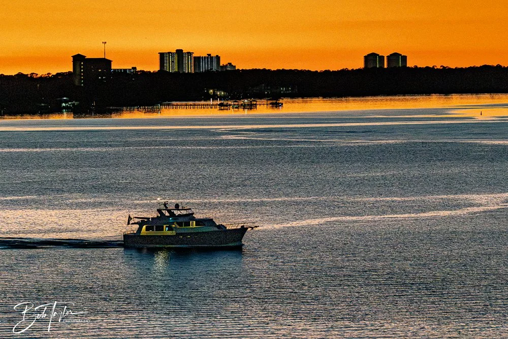 20251104-Night Scenes -7.jpg