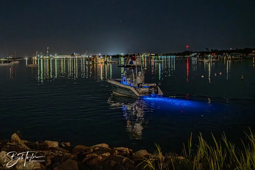 20251104-Night Scenes -21.jpg