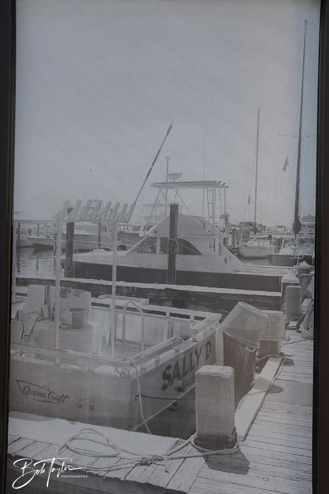 20250414-Historic St Andrews -31.jpg