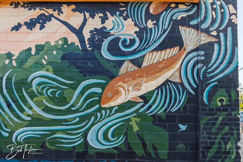 20250414-Historic St Andrews -15.jpg