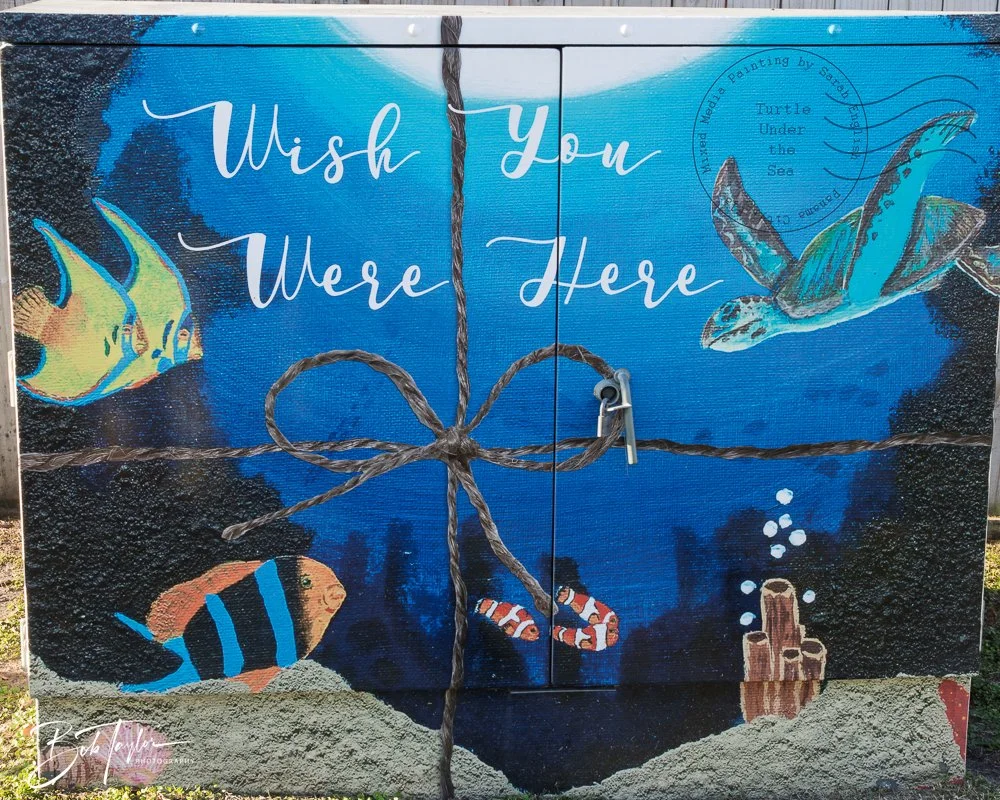 20250414-Historic St Andrews -58.jpg